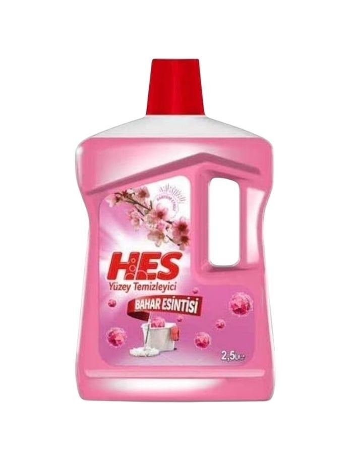 Hes Yüzey Temizleyici Bahar 2500ML