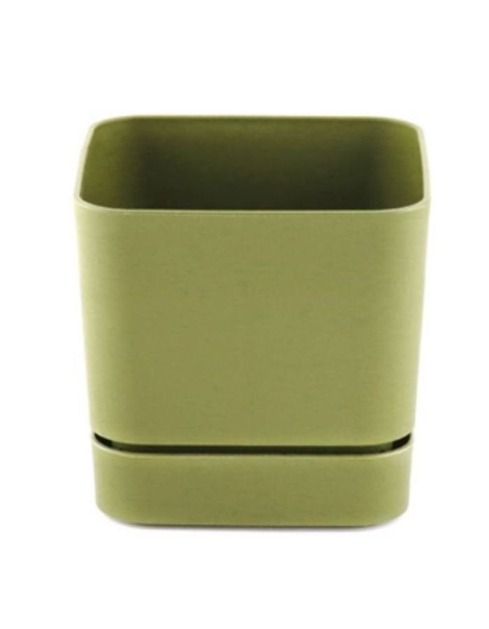 Poliwork Begonya Kare Saksı Y.Yeşil 13 cm
