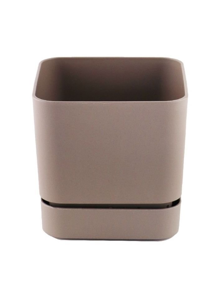 Poliwork Begonya Kare Saksı Krem 13 cm