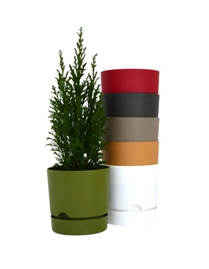 Poliwork Gala Saksı S.Kahve