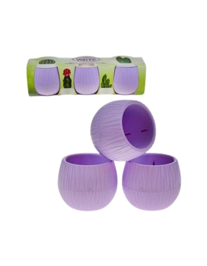 Violet 3'lü Bambu Kaktüs Saksı